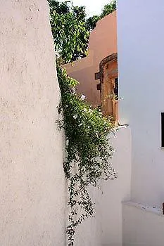 Bozzali Deluxe La Canea